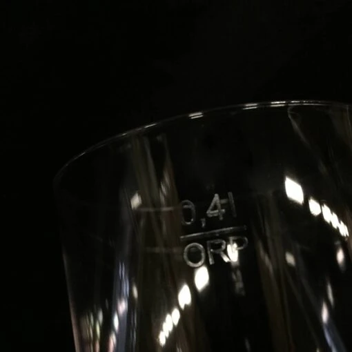 Kunststof Bierglazen Evenementen - 40cl - Transparant