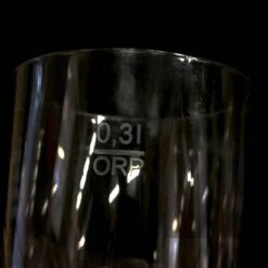 Kunststof Bierglazen Evenementen - 30cl - Transparant