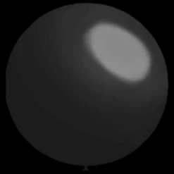 Zwarte Ballonnen - 60cm
