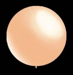 Pearl Ballonnen - Metallic Rond - 28cm
