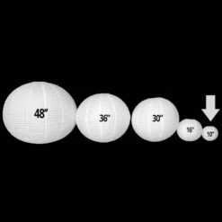 Crème Lampion - 25cm