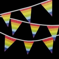 Boland Vlaggenlijn - Regenboog - 10m
