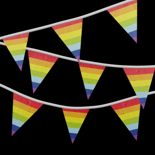 Boland Vlaggenlijn - Regenboog - 10m