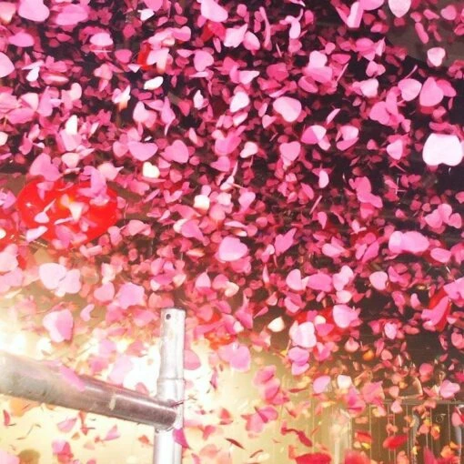MagicFX Handmatige Confetti Shooter 28cm Rode Hartjes