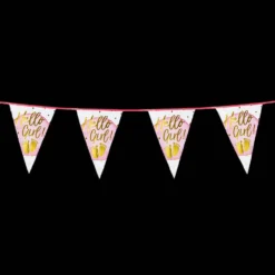 Vlaggenlijn 'Hello Girl!' - 6m -Boland Winkel 2157 img 1 vlaggenlijn kopen gender reveal girl