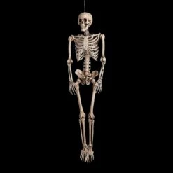 Halloween Skelet - 160cm