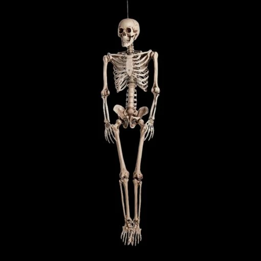 Halloween Skelet - 160cm