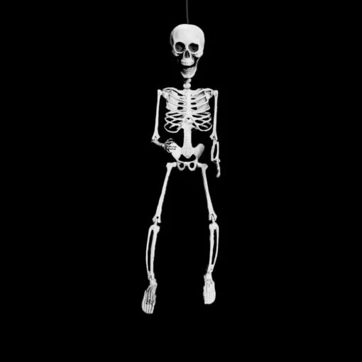 Halloween Hangdecoratie Skelet - 70cm