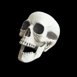 Halloween Schedel - 21cm X 16cm X 15cm