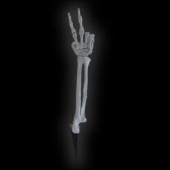 Halloween Skelet Arm Op Spies Peace - 39cm