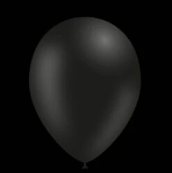 Zwarte Ballonnen - 28cm