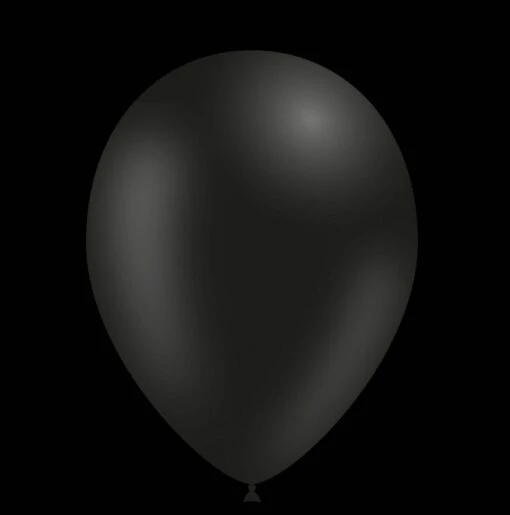 Zwarte Ballonnen - 28cm