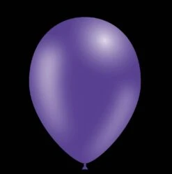 Paarse Ballonnen - 28cm