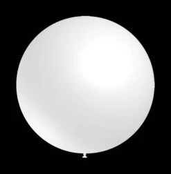Witte Ballonnen - Rond - 30cm -Boland Winkel 505 img 1 witte helium ballonnen kopen