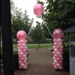 Roze Ballonnen - Metallic Rond - 28cm