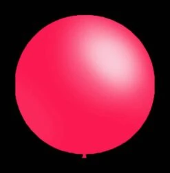 Fuchsia Ballonnen - Rond - 30cm