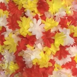 Hawaii Armbandje - Oeteldonkse Kleuren