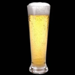 Kunststof Bierglazen Op Voet - 25cl - Transparant