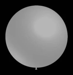 Grijze Ballonnen - Rond - 30cm